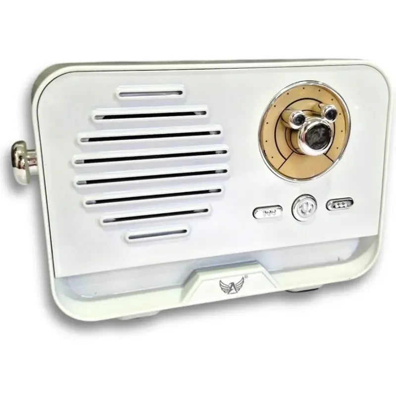 Platoon Bluetooth 5.3 Mini Retro Radyo PL-4707