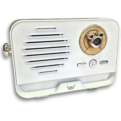 Platoon Bluetooth 5.3 Mini Retro Radyo PL-4707