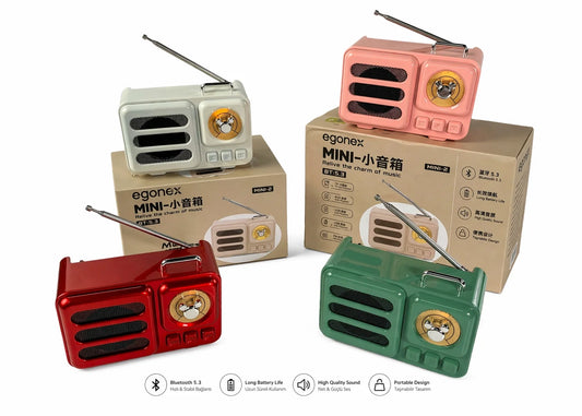 Platoon PL-4708 Bluetooth 5.3 Mini Metal Retro Radyo